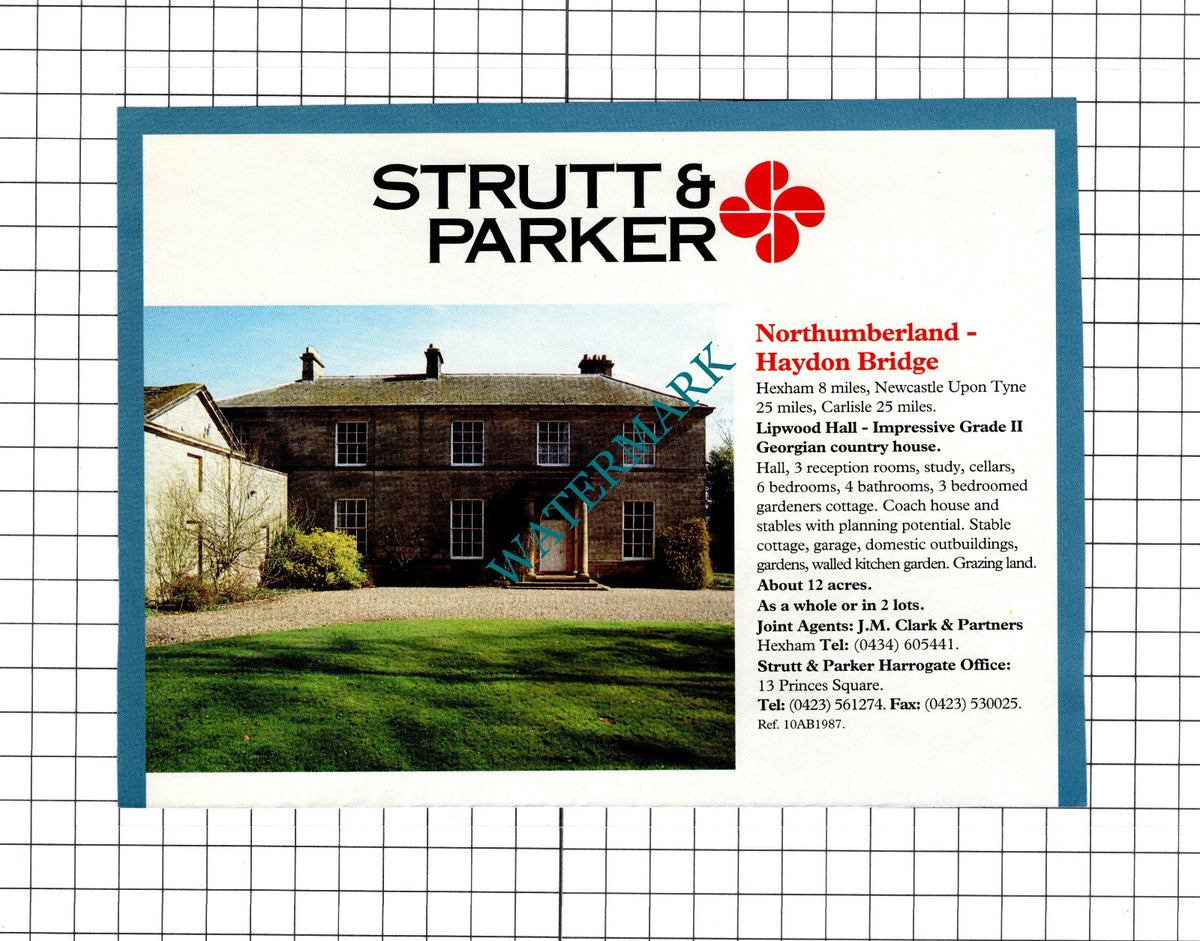Lipwood Hall Haydon Bridge Northumberland Sale Advert - 1994 Clipping / Print