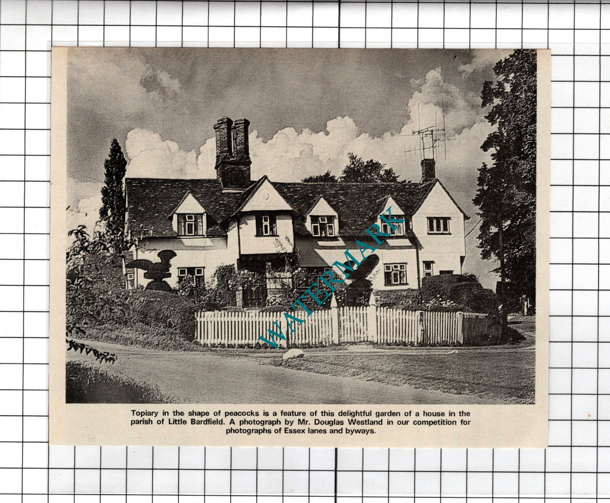 Little Bardfield Essex - 1972 Clipping
