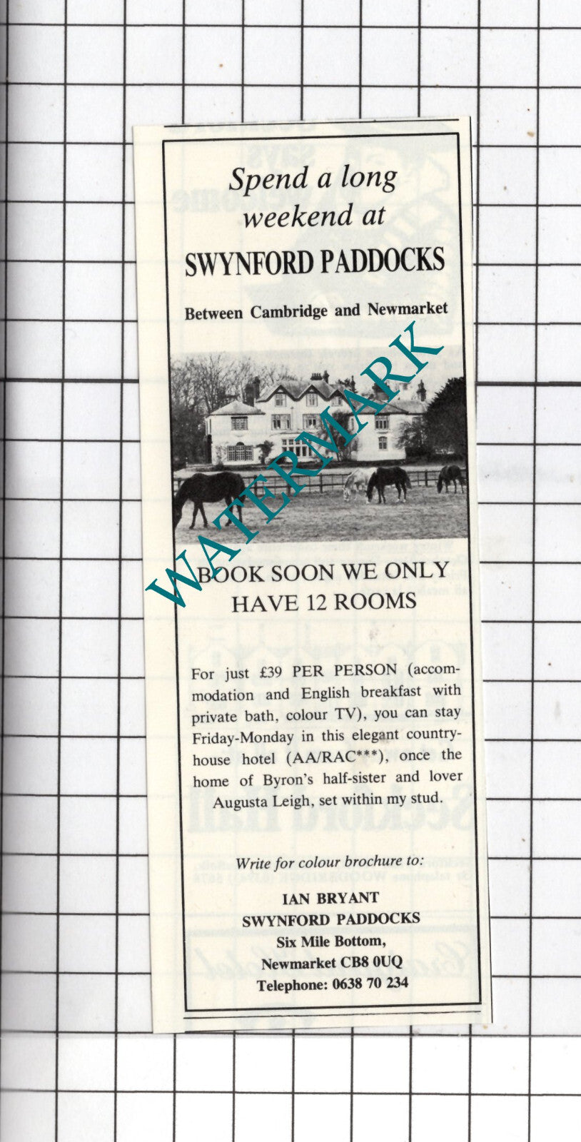 Swynford Paddocks Six Mile Bottom Newmarket Ian Bryant - 1980 Small Advert