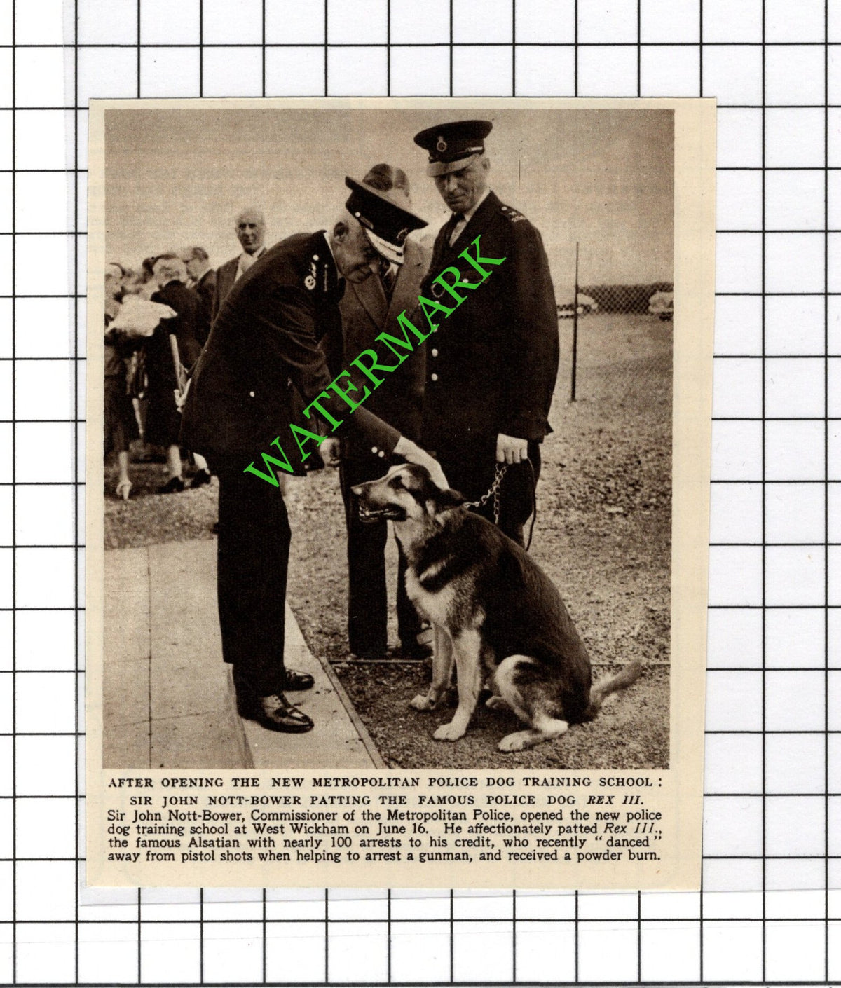 Sir John Nott-Bower Metropolitan Police Dog Rex West Wickham - c.1954 Cutting