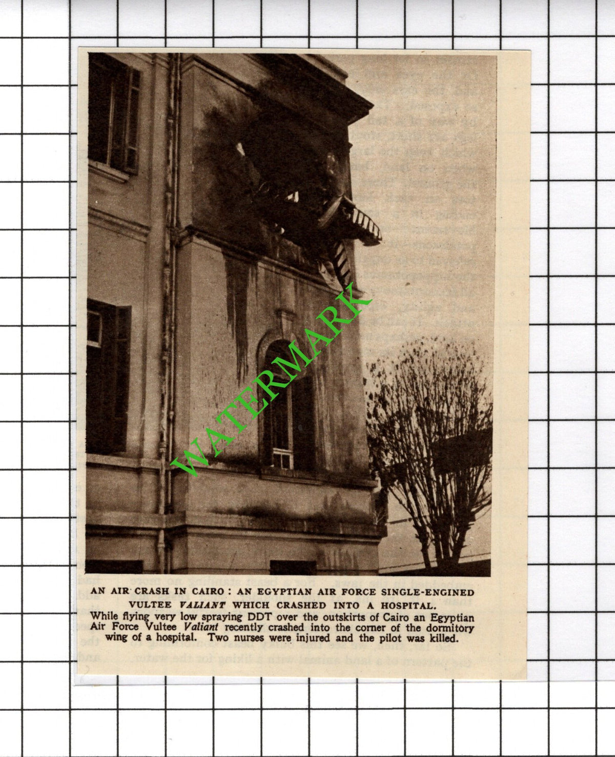 Egyptian Air Force Crash Hospital Cairo Egypt - c.1954 Small Cutting