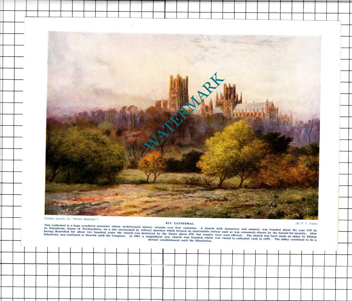 Ely Cathedral F C Varley - c.1930's Print