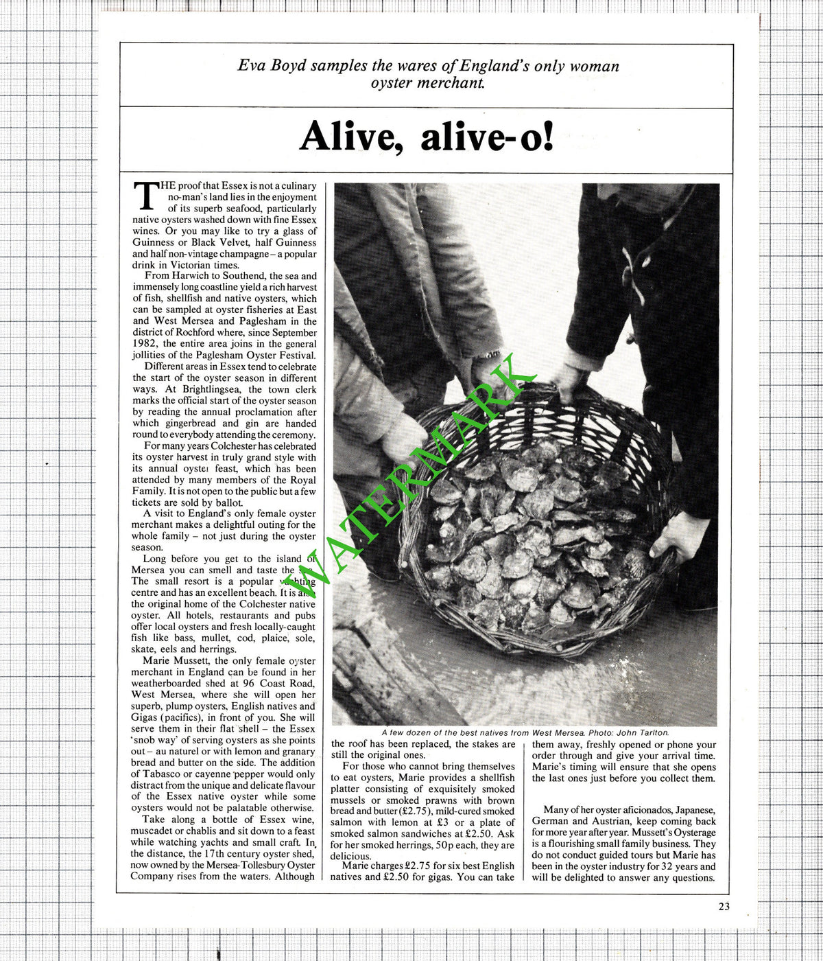 Marie Mussett West Mersea Essex Oysters Mussett's Oysterage - 1985 Article