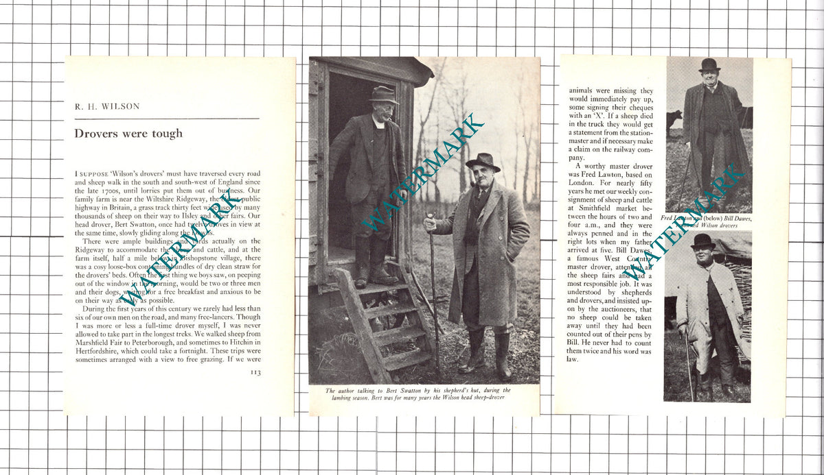 Bert Swatton Wilson's Drovers Bill Dawes Fred Lawton -1971 Small Article