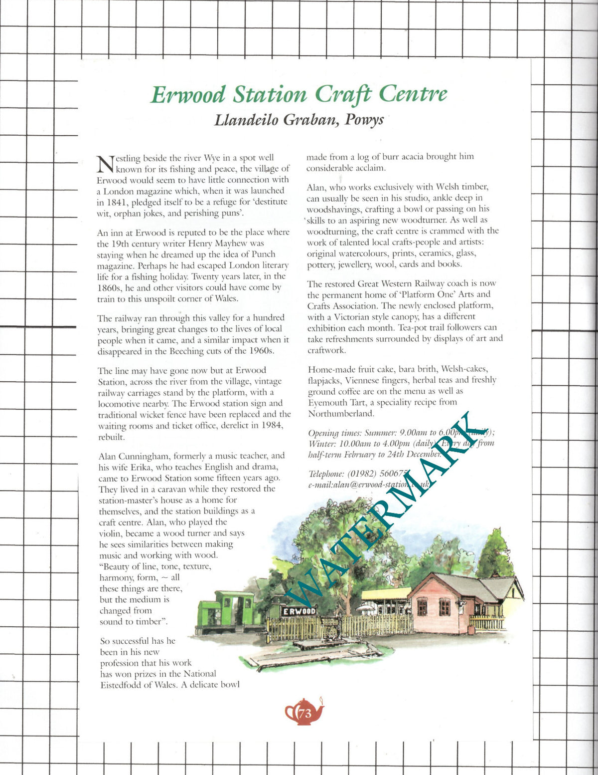 Village Green Coffee Kingsland / Erwood Station Llandeilo Graban -c.2001 Advert