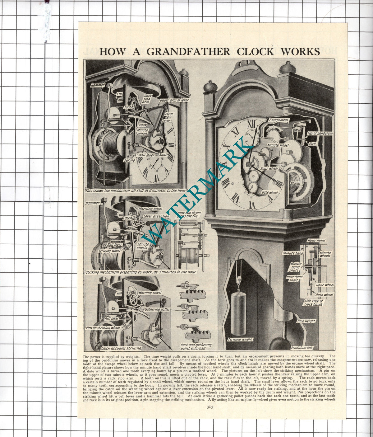 Grandfather Clock Diagram - c.1940's Cutting