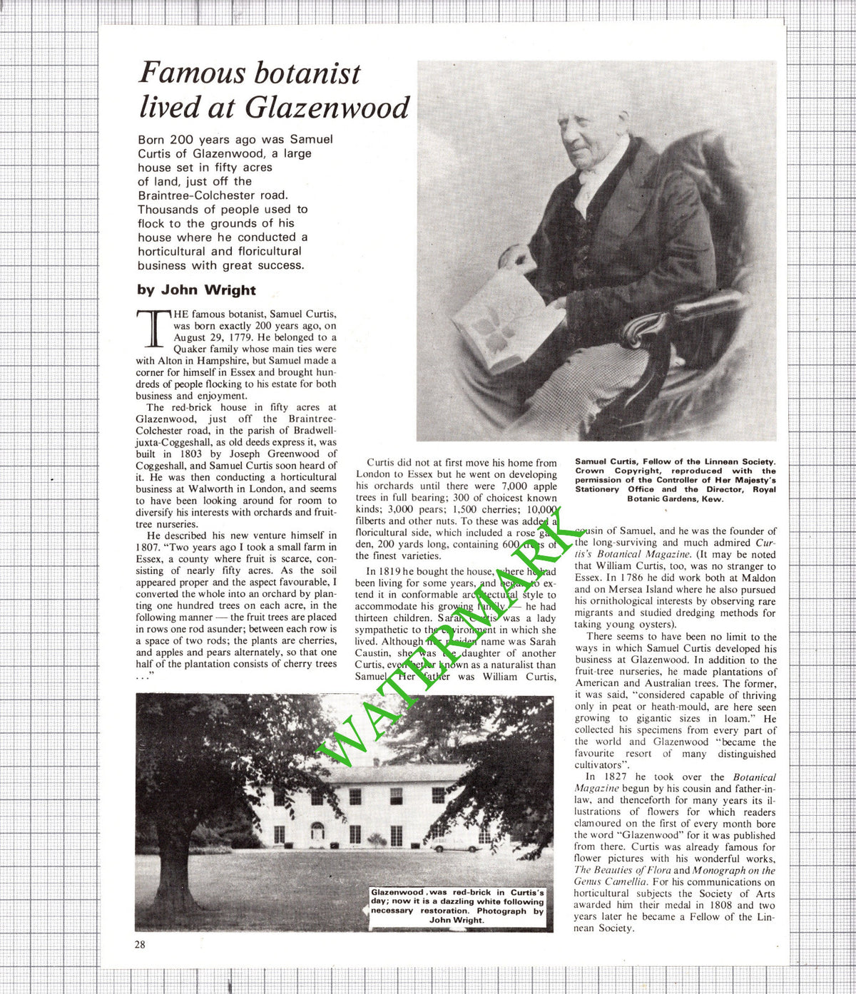 Samuel Curtis Glazenwood Essex - 1979 Article