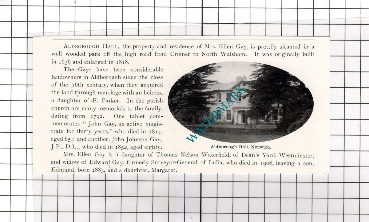 Aldborough Hall Norfolk Mrs Ellen Gay - 1911 Cutting
