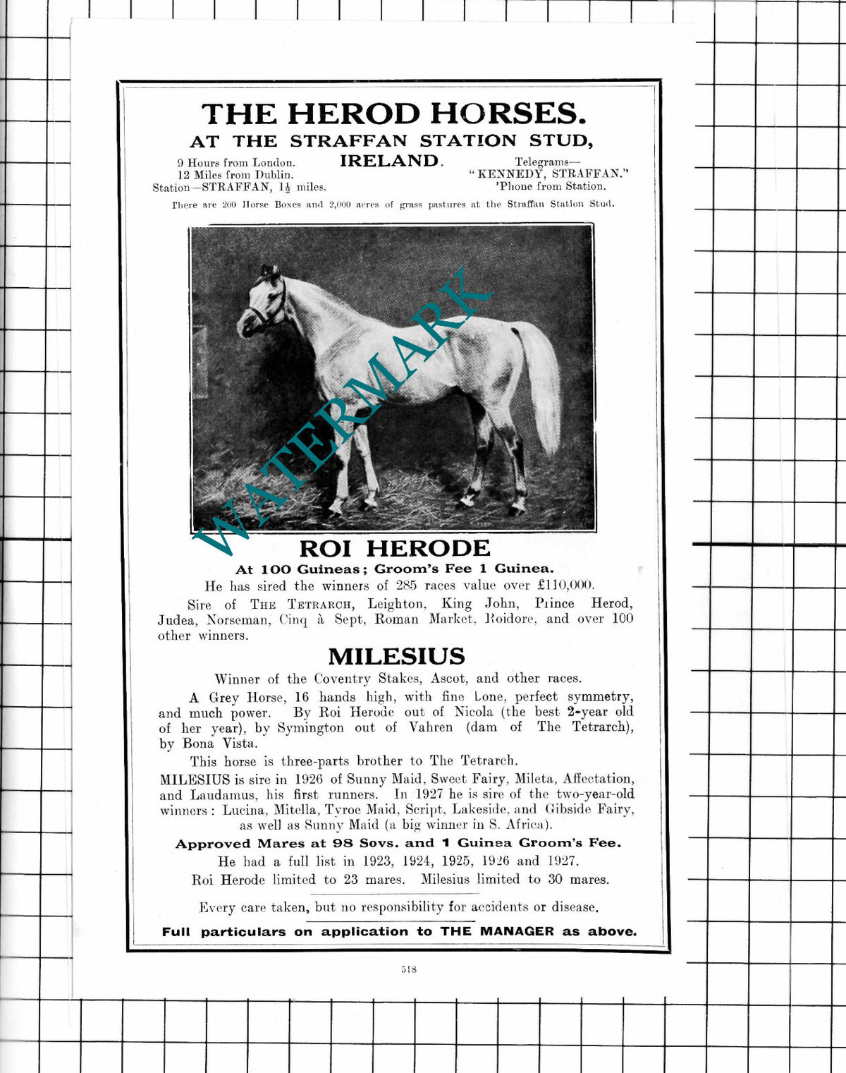 Straffan Station Stud Ireland ROI HERODE Horse Racehorse - 1927 Advert
