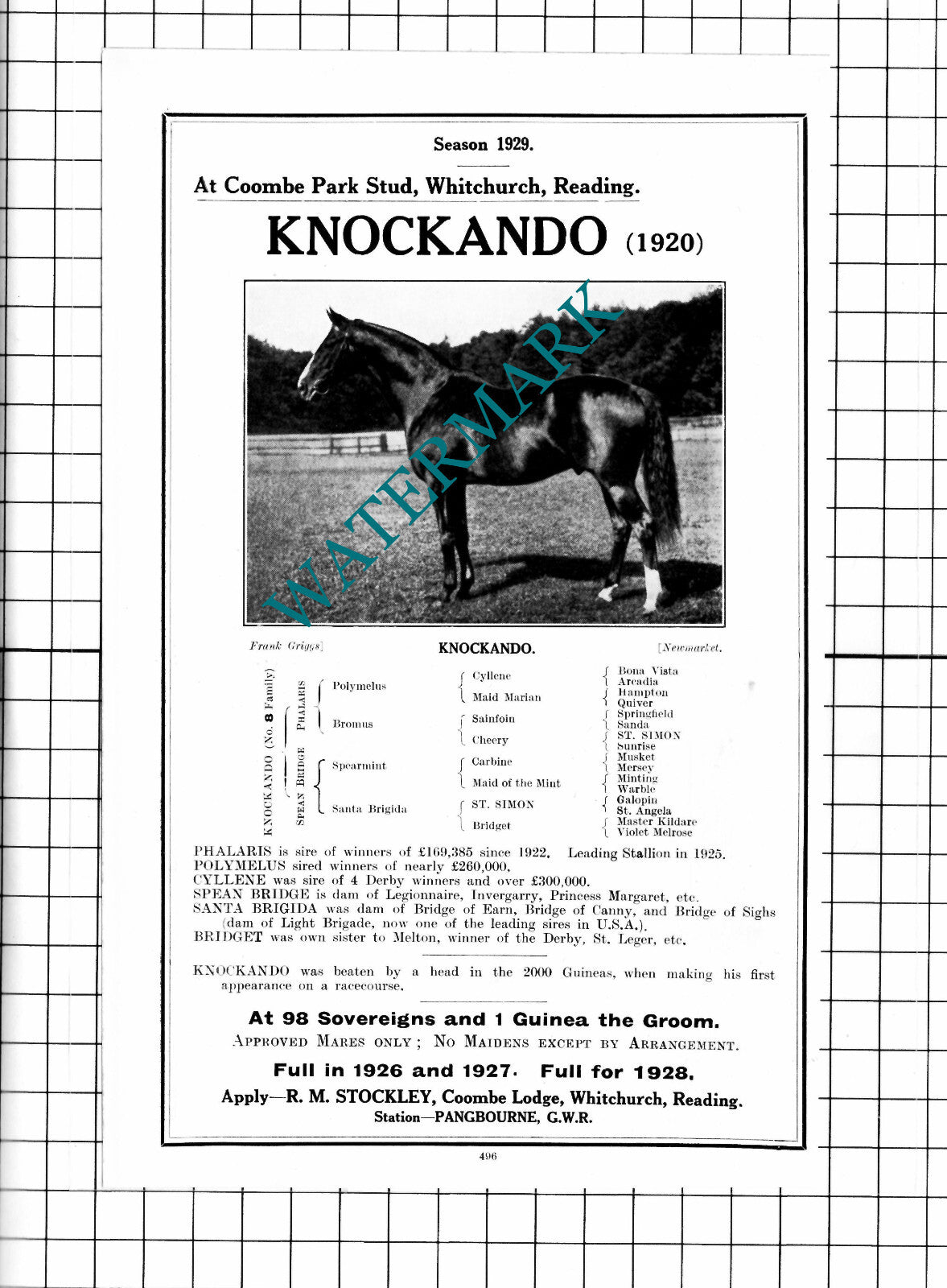 Knockando Horse Racehorse Coombe Park Stud Whitchurch RM Stockley - 1927 Advert