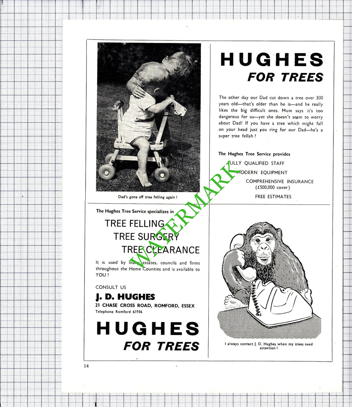J D Hughes Romford Essex Tree Service Advert - 1969 Cutting / Print