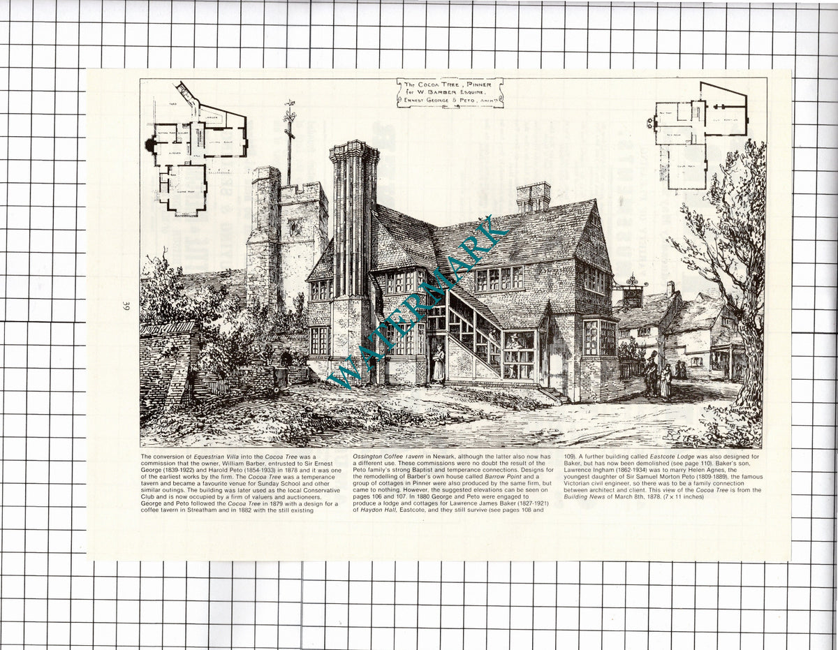 The Cocoa Tree Pinner Middlesex William Barber Peto - c.1980's Clipping / Print
