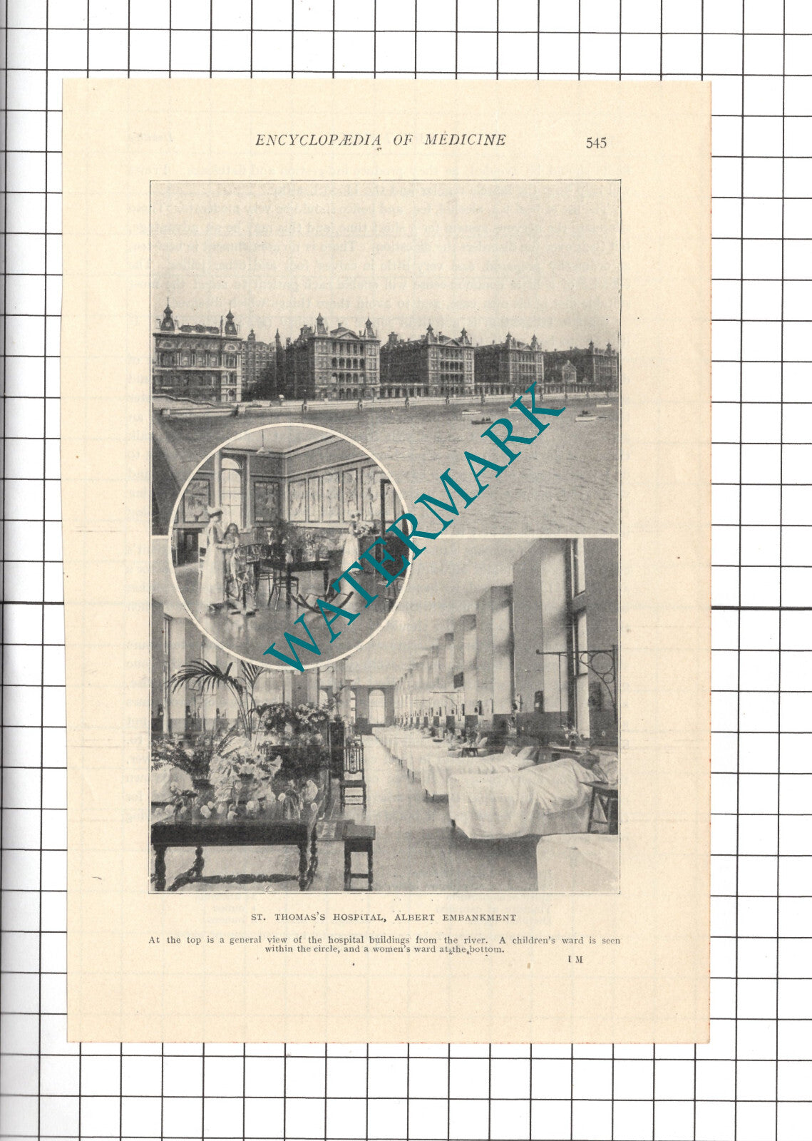 St Thomas's Hospital London - c.1914 Cutting