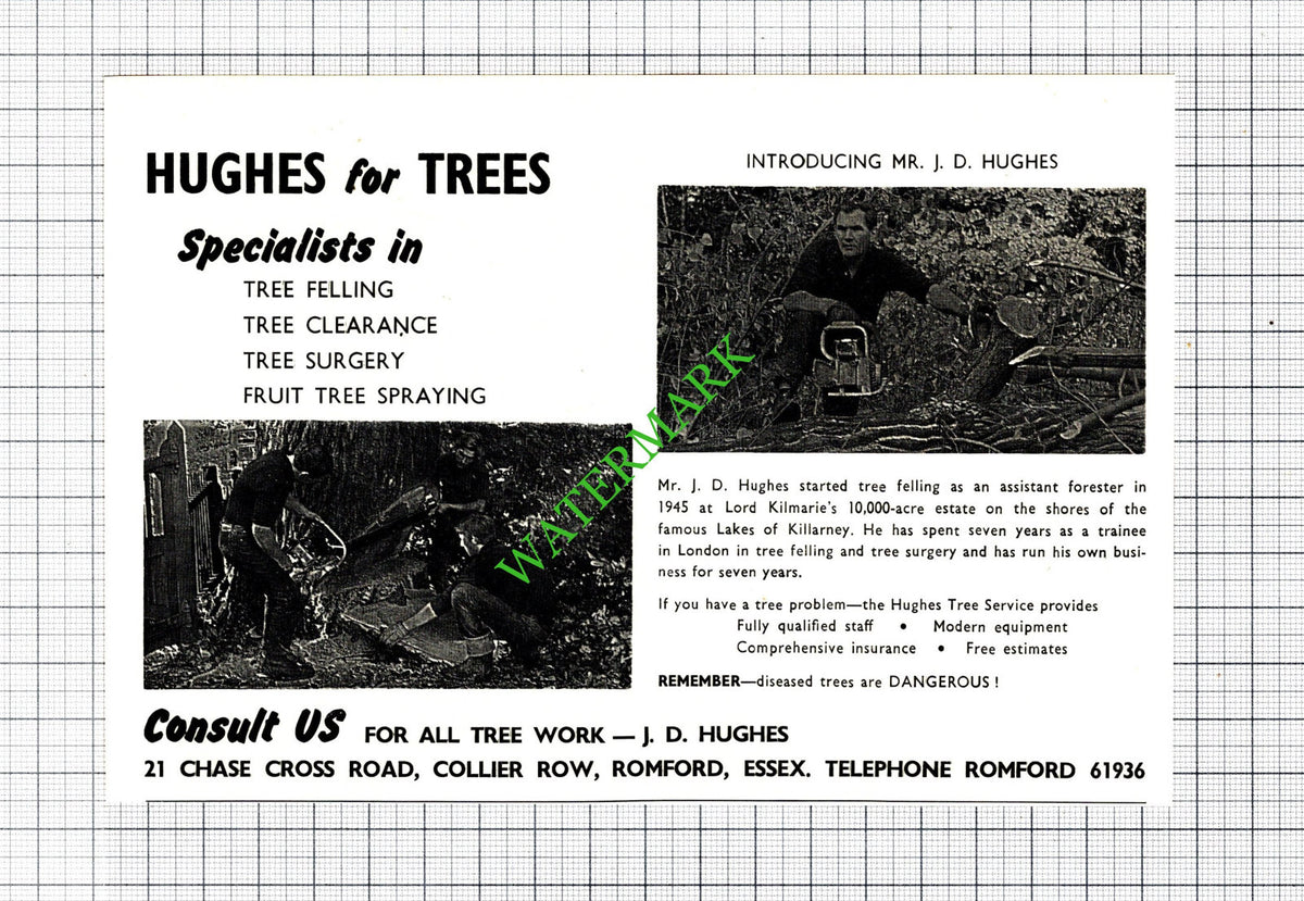 J D Hughes Romford Essex Tree Fellers Advert - 1968 Cutting