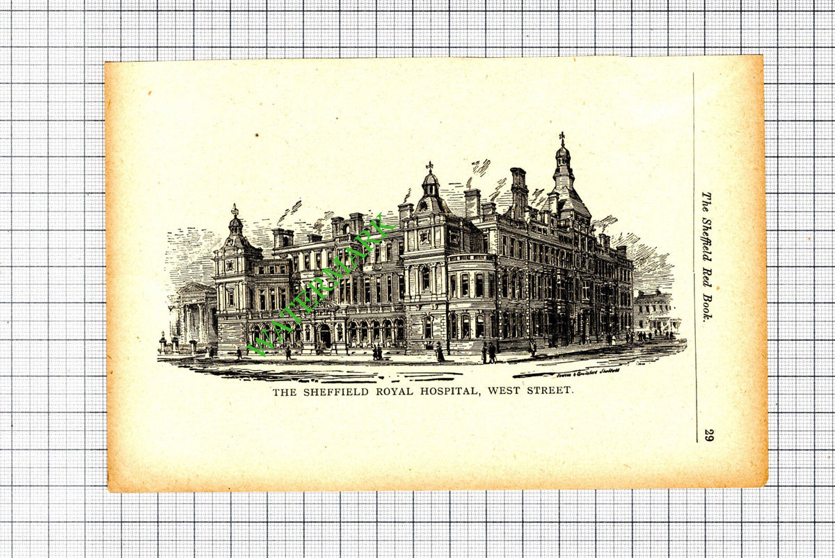 The Sheffield Royal Hospital - 1904 Small Cutting