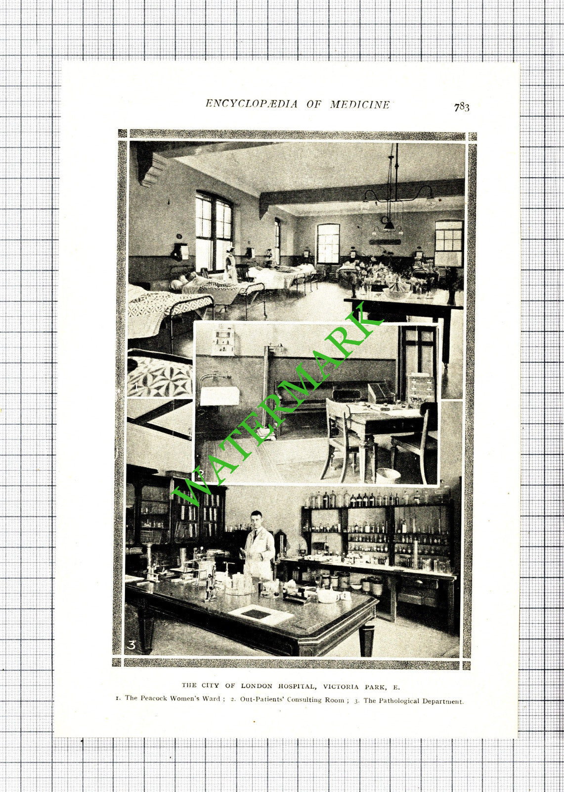The City Of London Hospital Victoria Park Interior - 1914 Cutting / Print