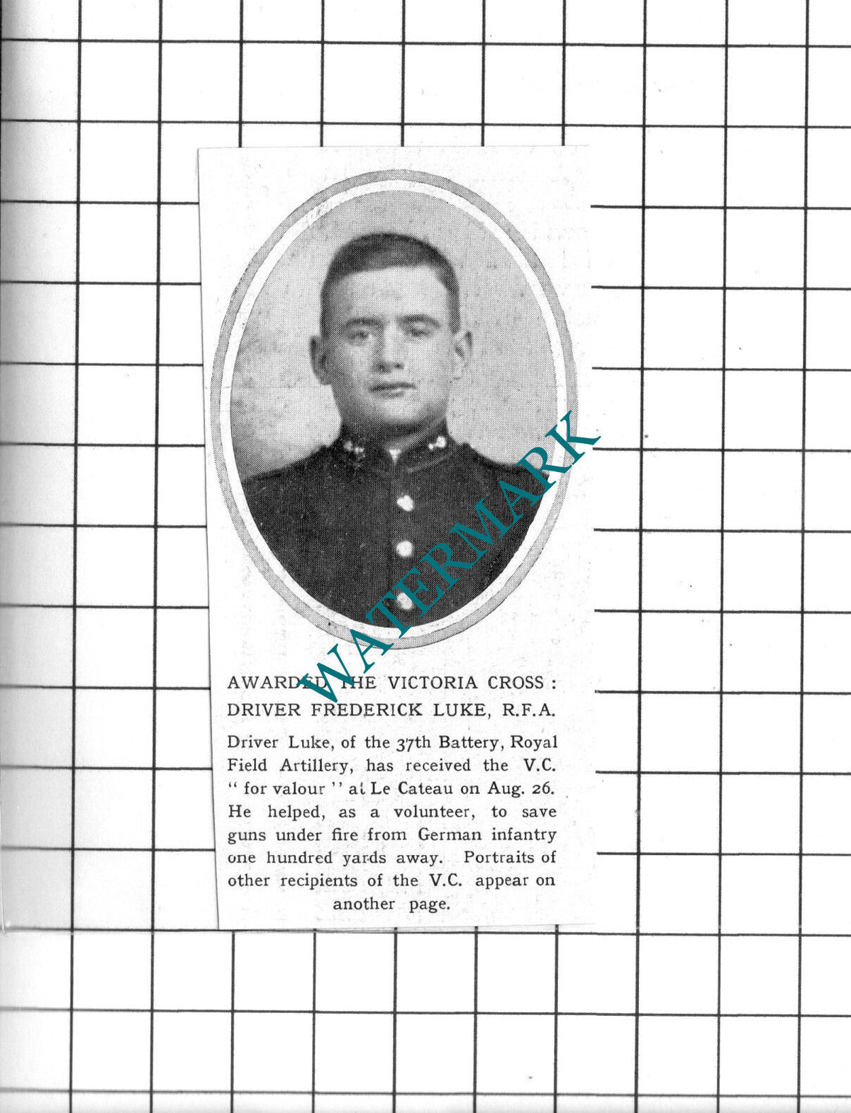 Frederick Luke 37th Battery RFA Royal Field Artillery WW1 - 1914 Small Clipping