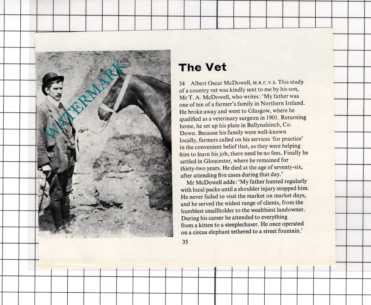 Albert Oscar McDowell Ballynahinch Co Down Ireland Vet - Cutting