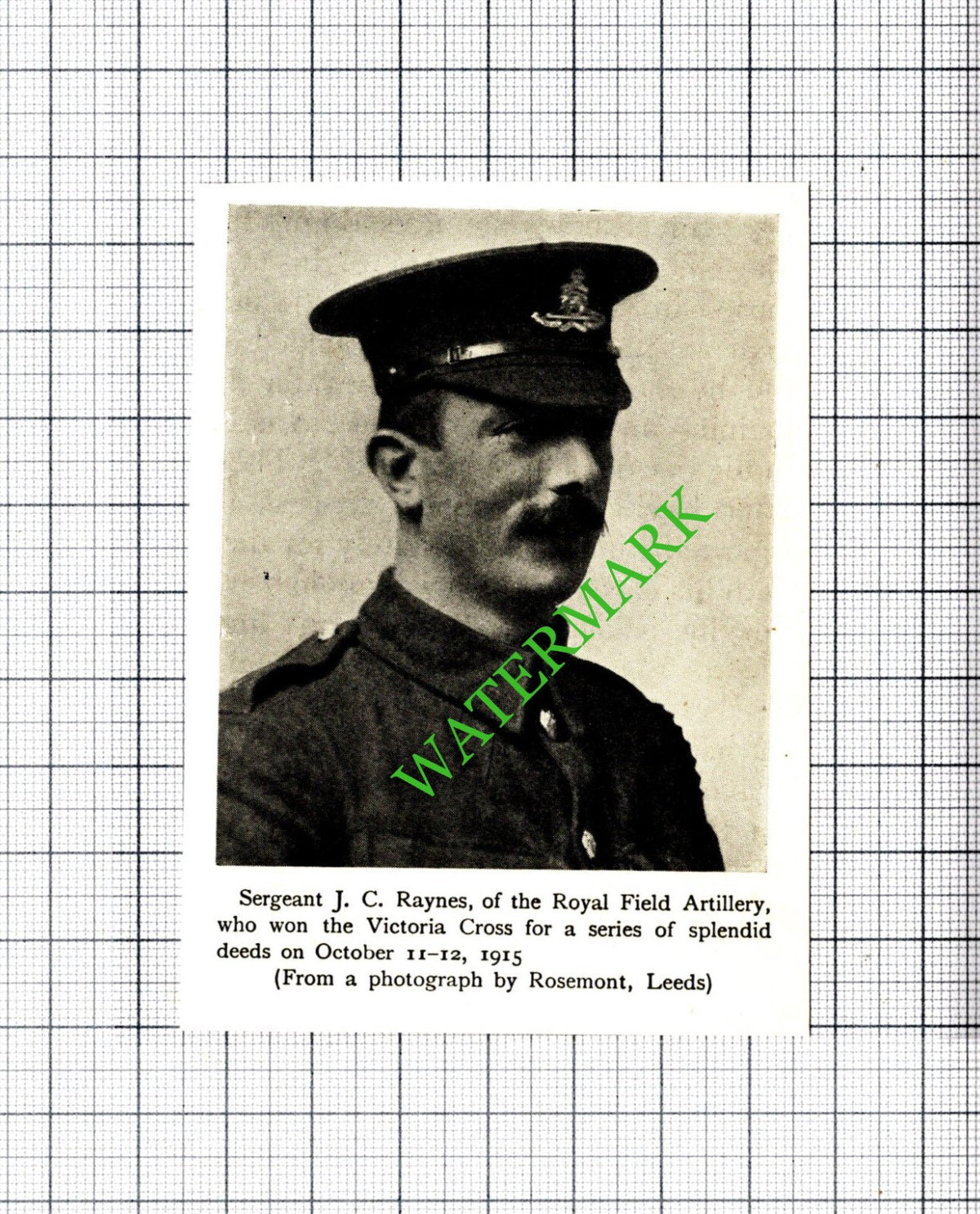 Sergeant JC Raynes Royal Field Artillery Great War - c.1920 Small Cutting