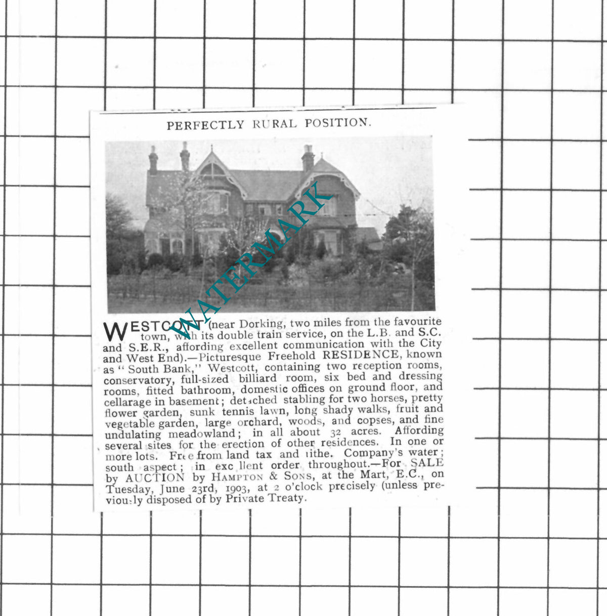 South Bank Westcott Dorking Surrey Sale Advert - 1903 SMALL Clipping
