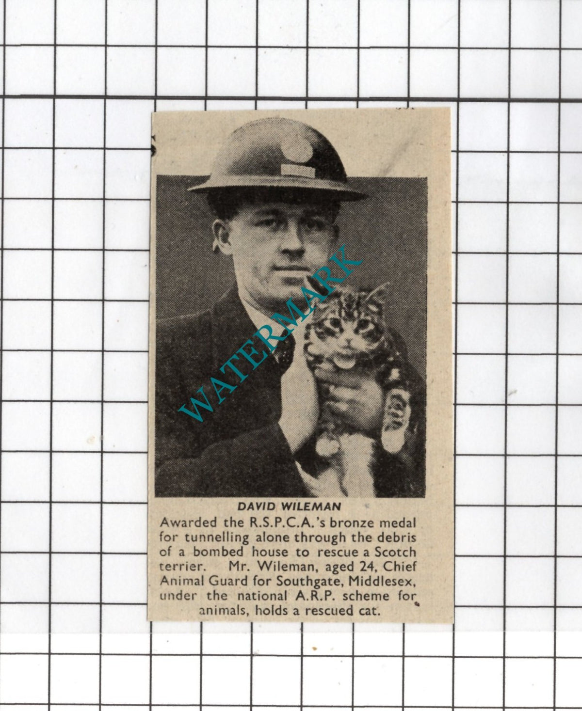 David Wileman Southgate Middlesex WW2 - 1941 Small News Clipping