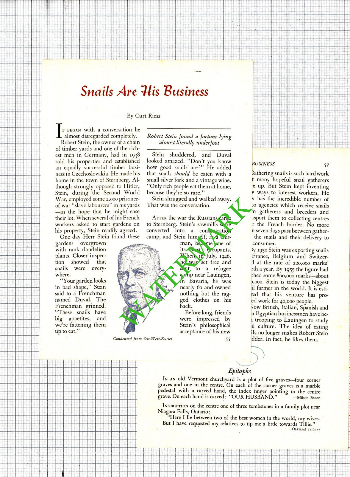 Robert Stein Germany Sawmill Snails Fritz Odoerfer -1956 Article