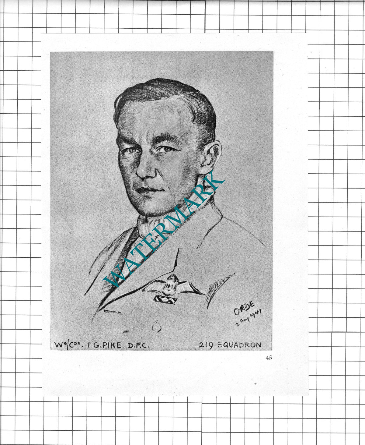 F/Lt JCF Hayter / W/Cmdr T G Pike WW2 Pilot - 1942 Book Print