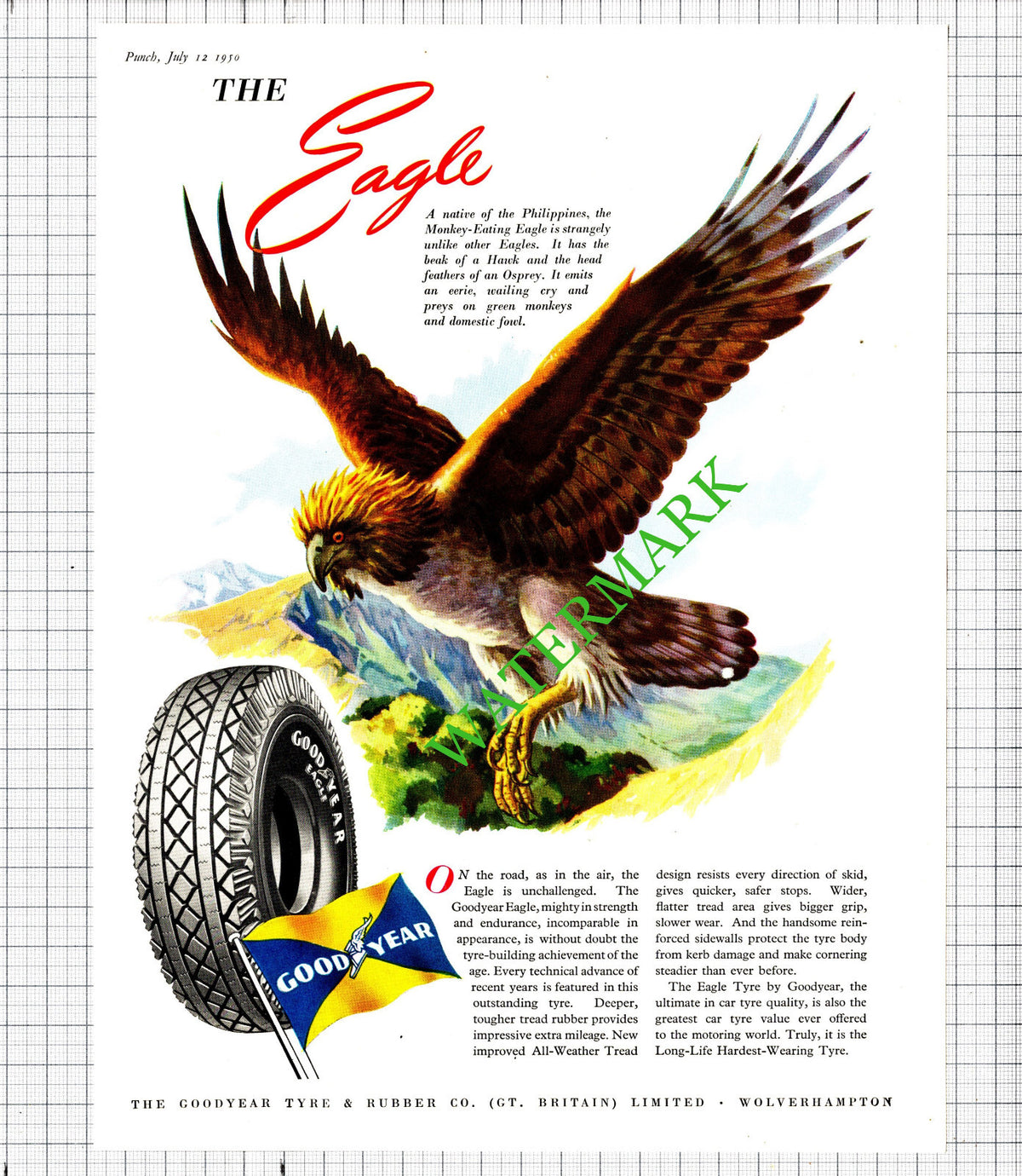 Goodyear Tyre & Rubber Co Wolverhampton Eagle Advert - 1951 Cutting