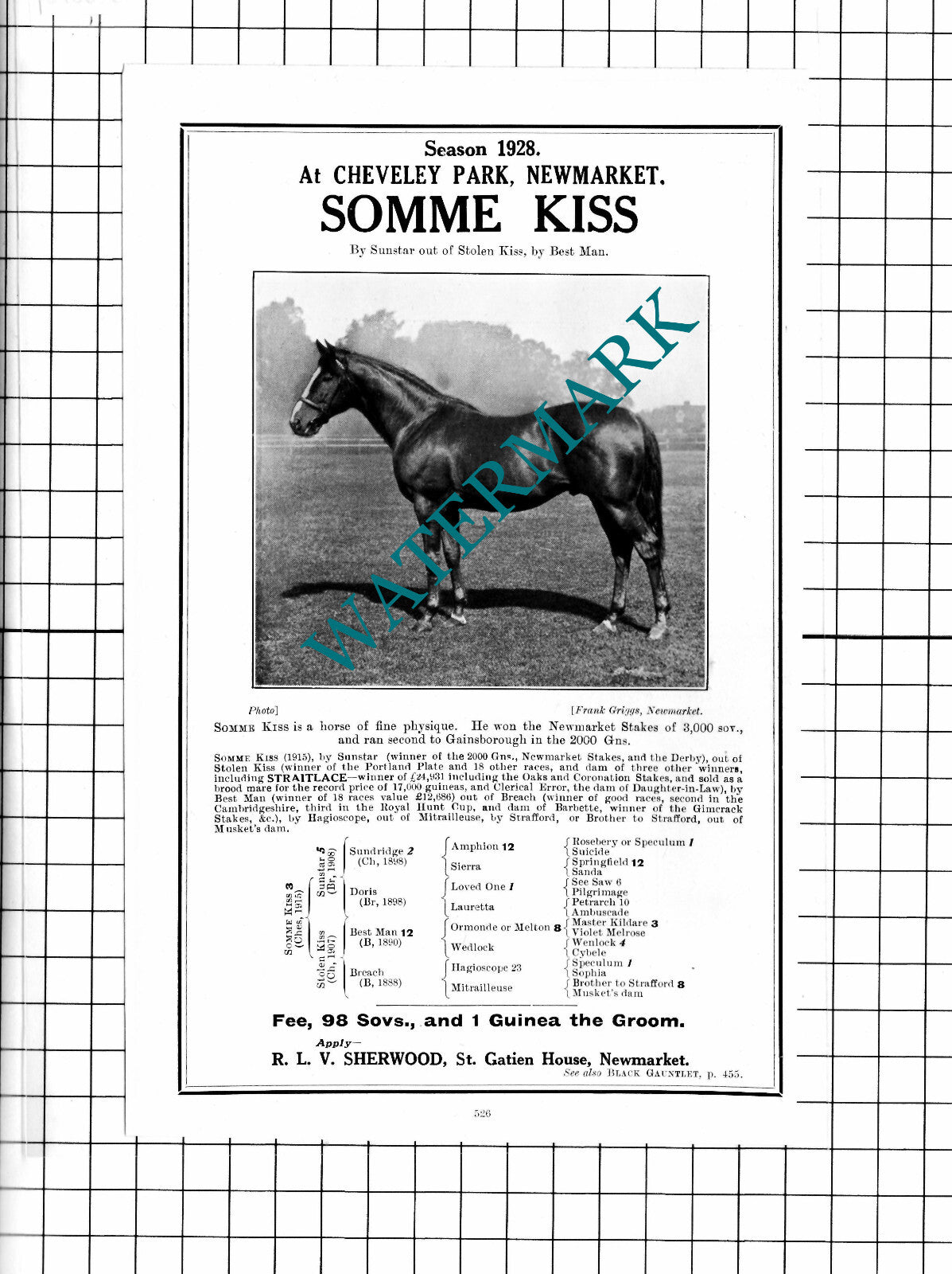 Lord Glanely SKY-ROCKET Exning Cheveley Park Newmarket SOMME KISS - 1927 Advert