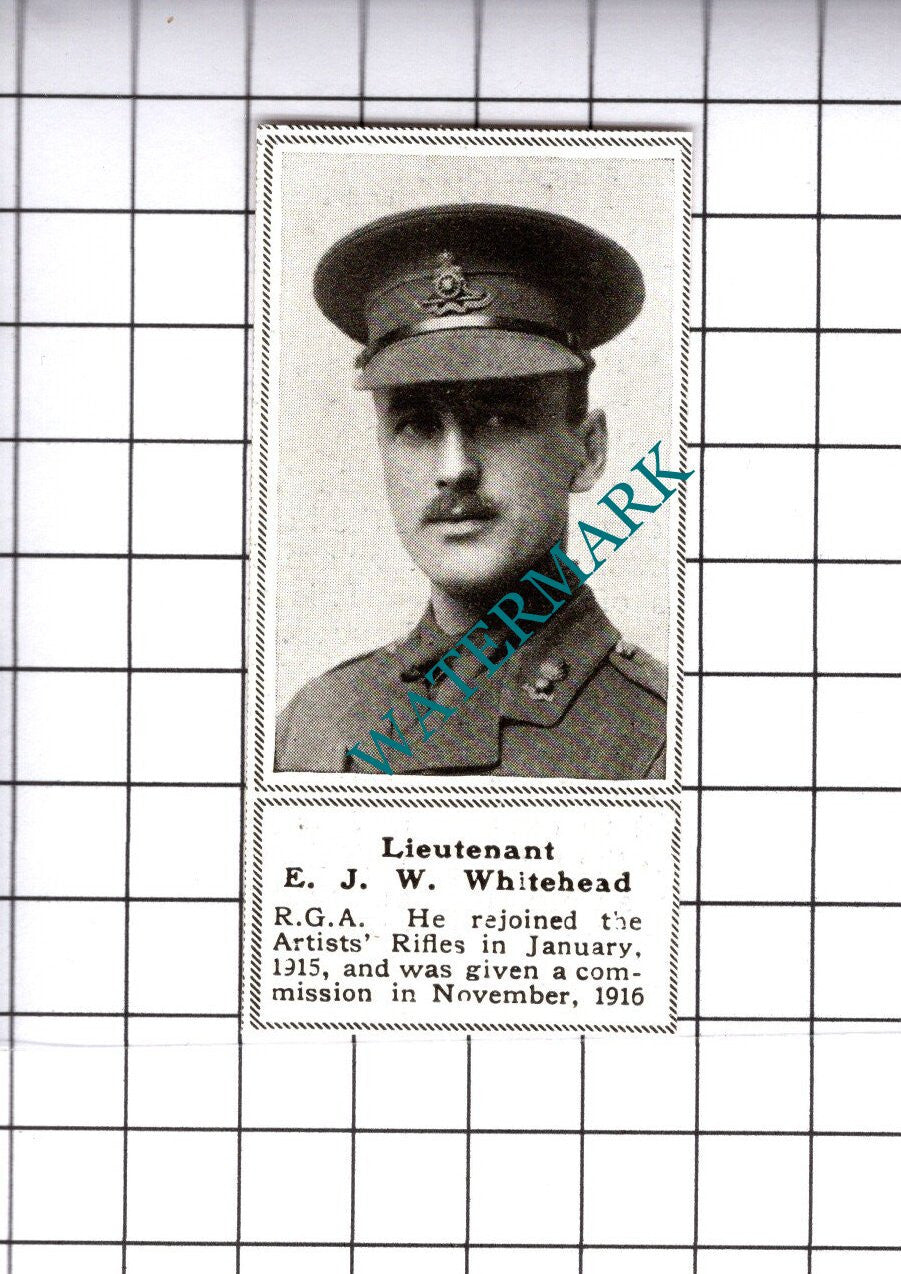 Lt E J W Whitehead RGA Great War WW1 - 1919 SMALL Cutting