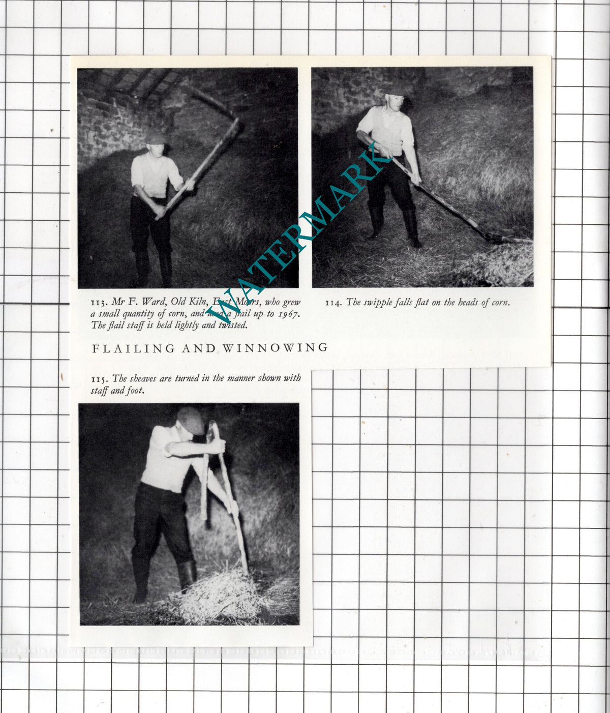 Mr F Ward Old Kiln East Moors Yorkshire - Clipping