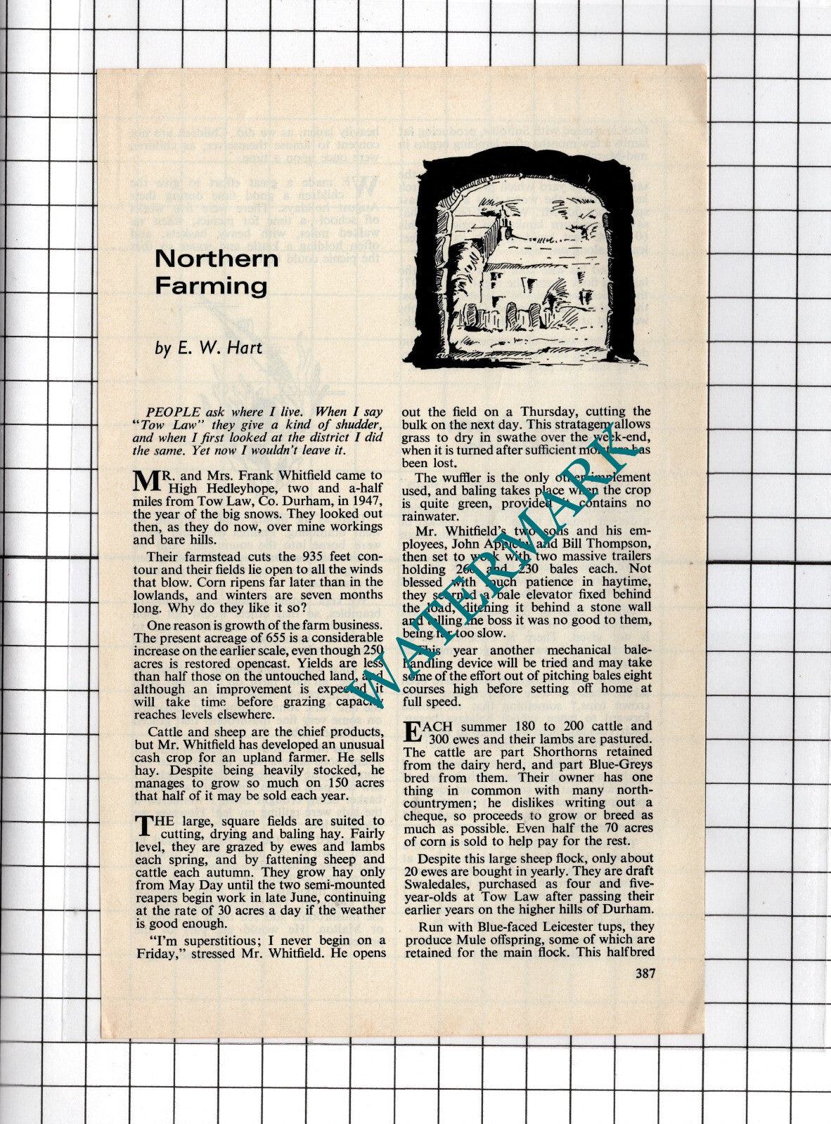 Mr & Mrs Frank Whitfield Tow Law Durham - 1972 Small Article