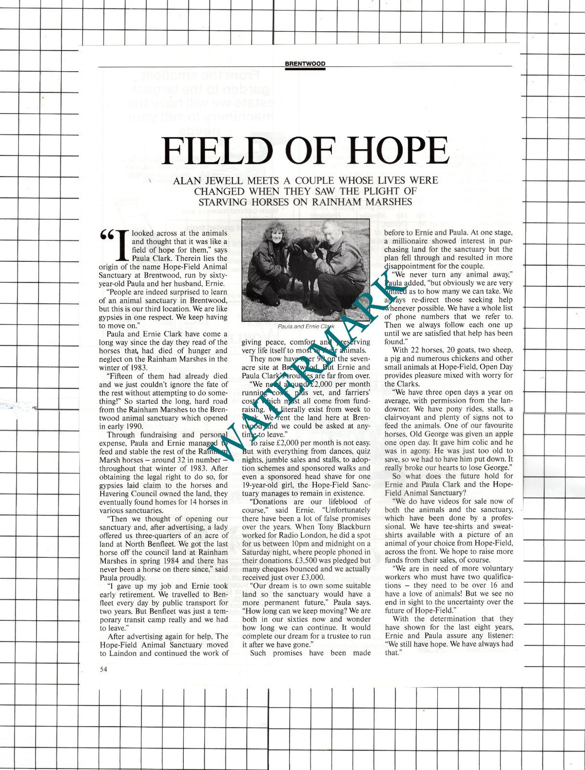 Hope Field Hopefield Animal Sanctuary Brentwood Essex - 1991 Article