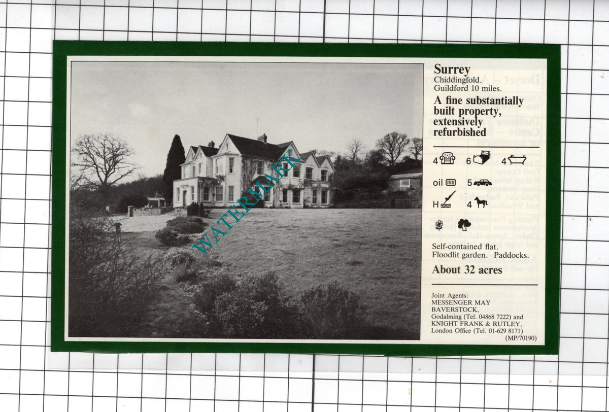 Chiddingfold Surrey House Sale Advert - 1981 Small Cutting
