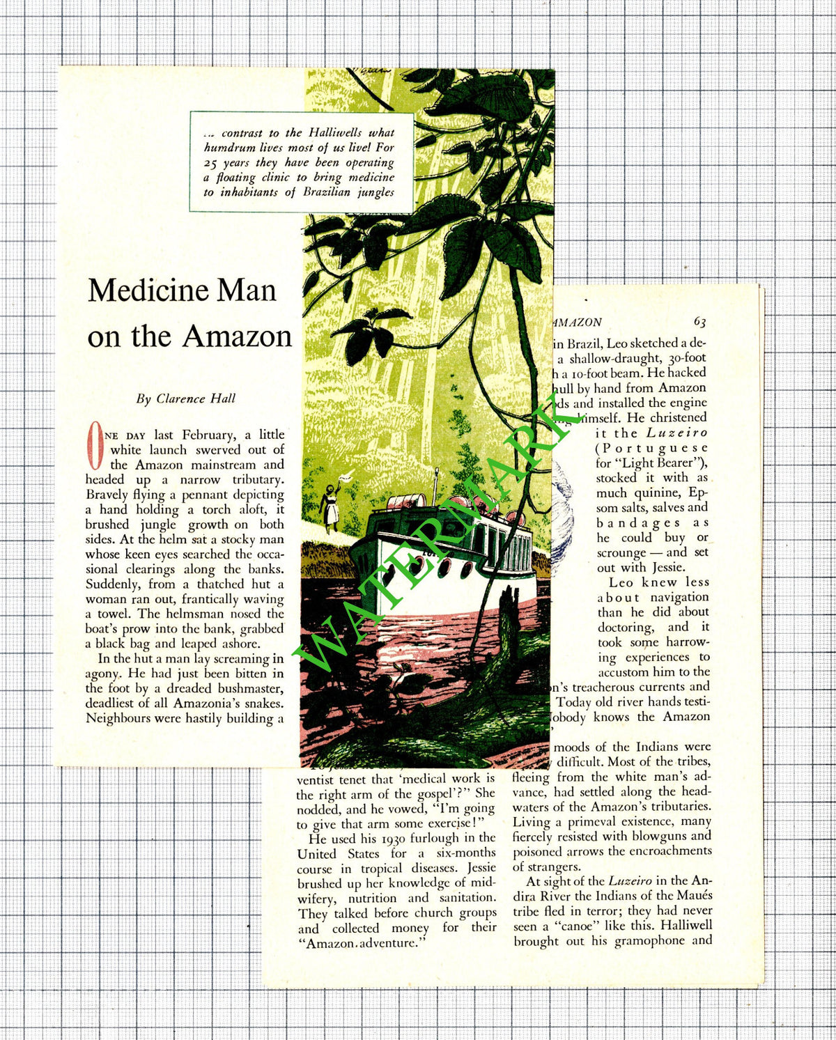 Leo Halliwell Jessie Brazil Amazon Medicine - 1956 Small Article