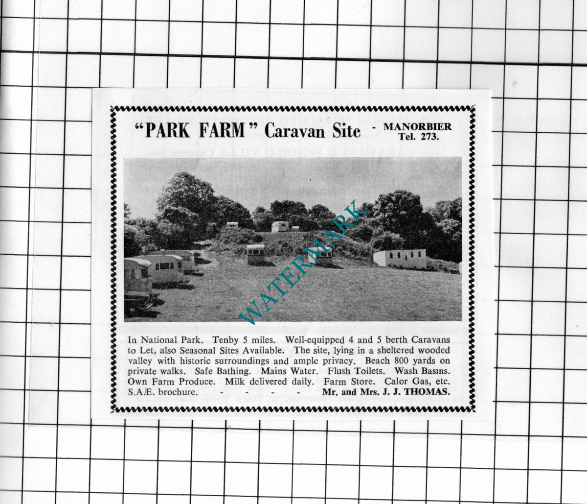 Park Farm Caravan Site Manorbier Wales Thomas Small Advert - 1962 Cutting