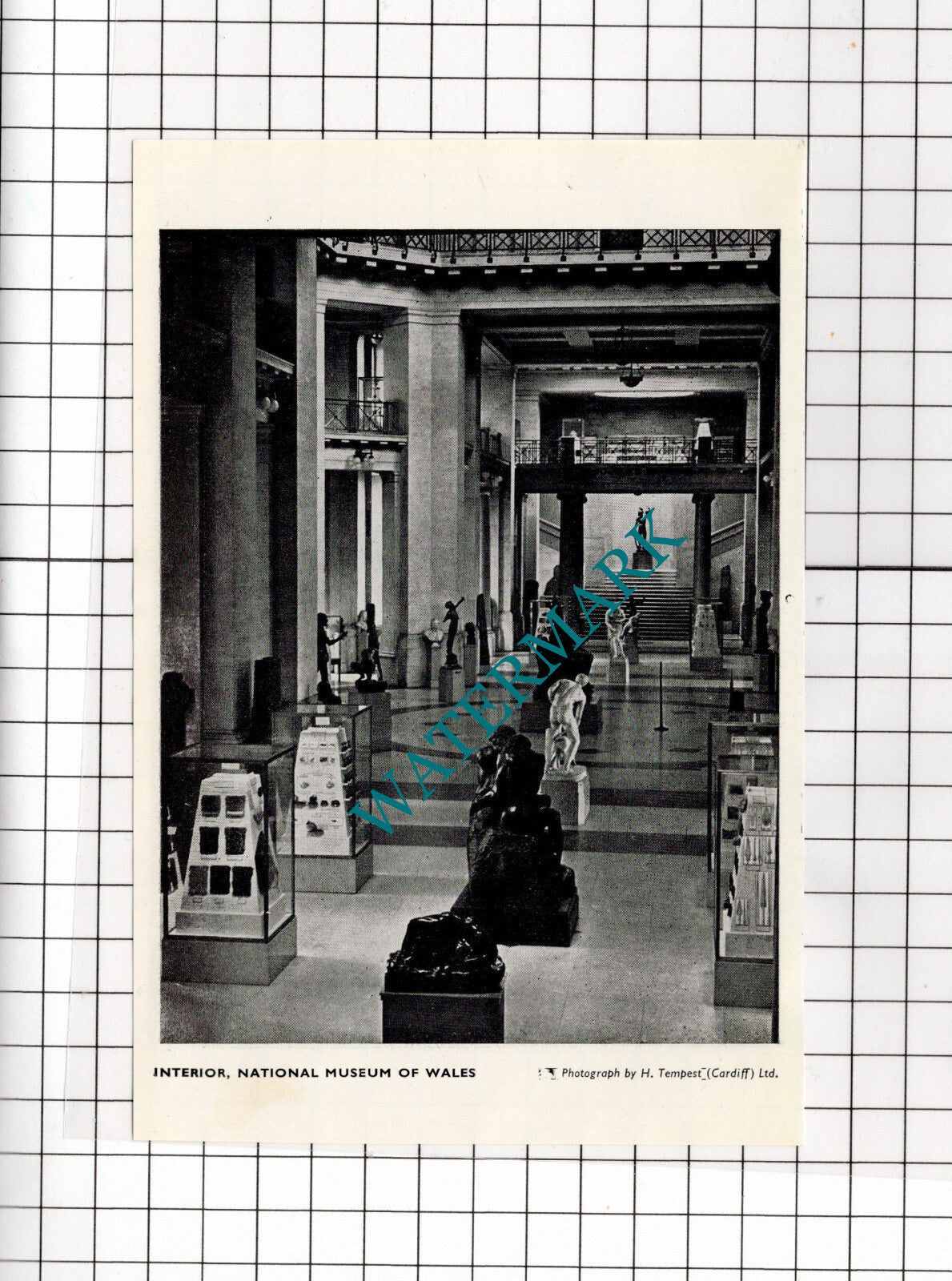 National Museum Of Wales Cardiff - 1958 Small Cutting / Print