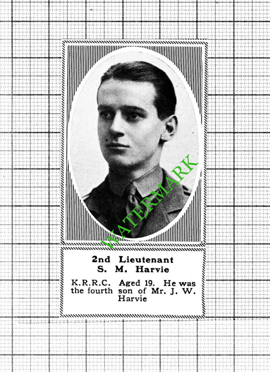 2nd Lt S M Harvie KRRC Great War WW1 - 1918 SMALL Cutting