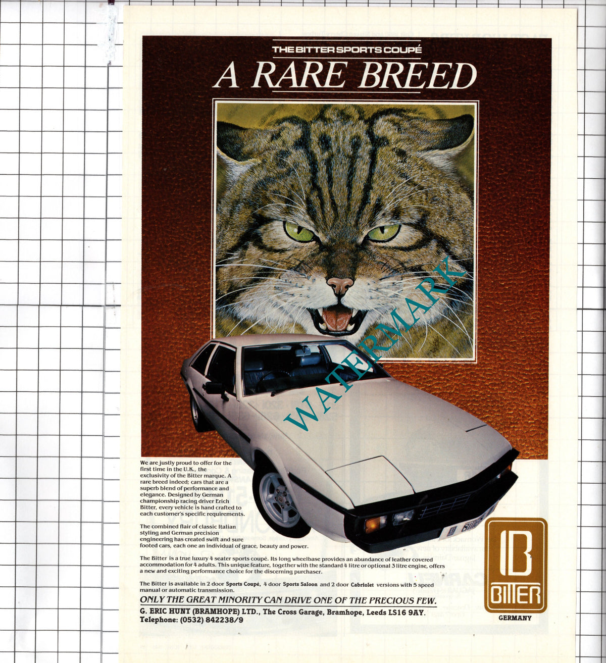 Bitter Sports Coupe Car Advert - 1985 Clipping