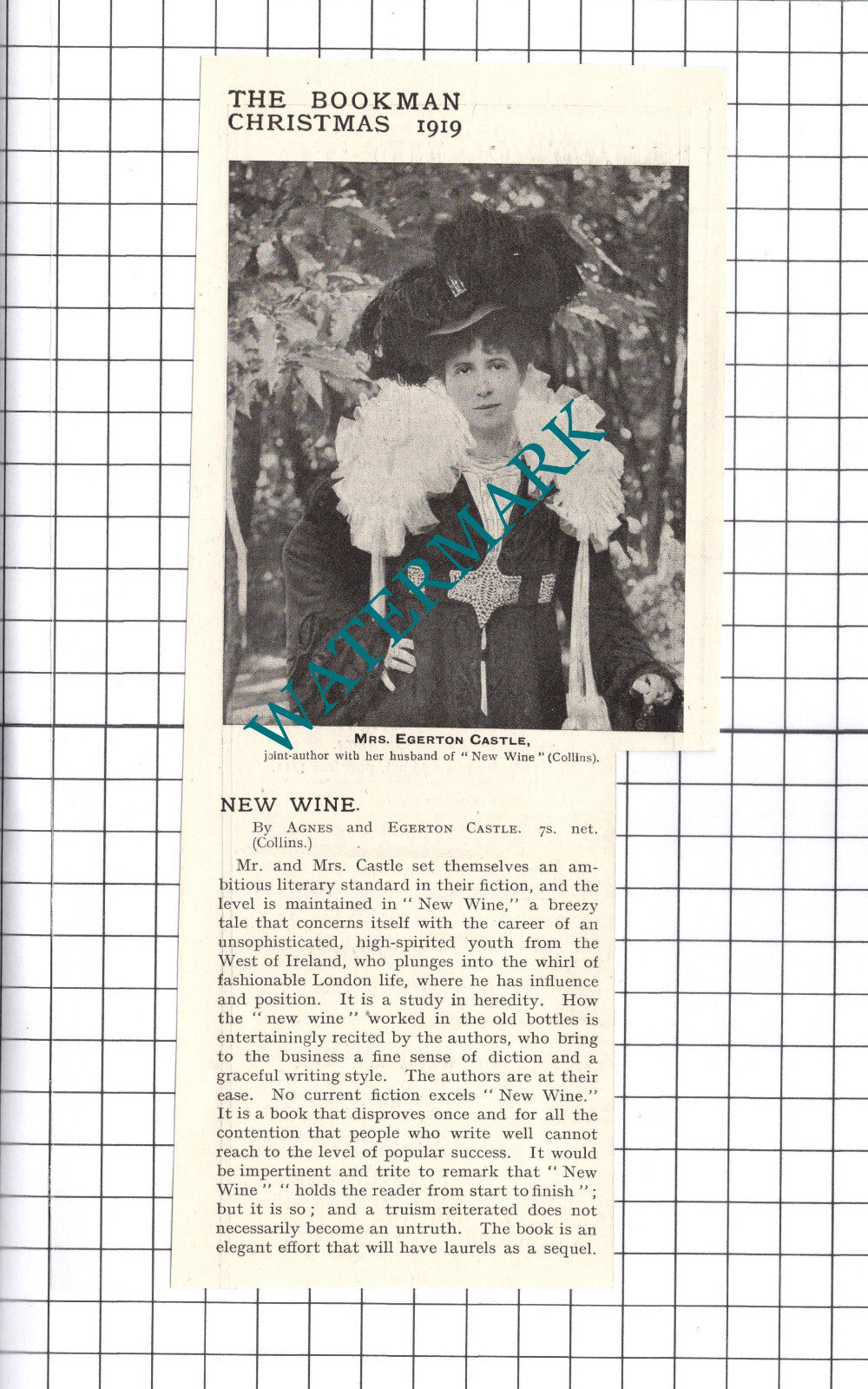 Mrs Agnes Egerton Castle - 1919 Clipping / Print