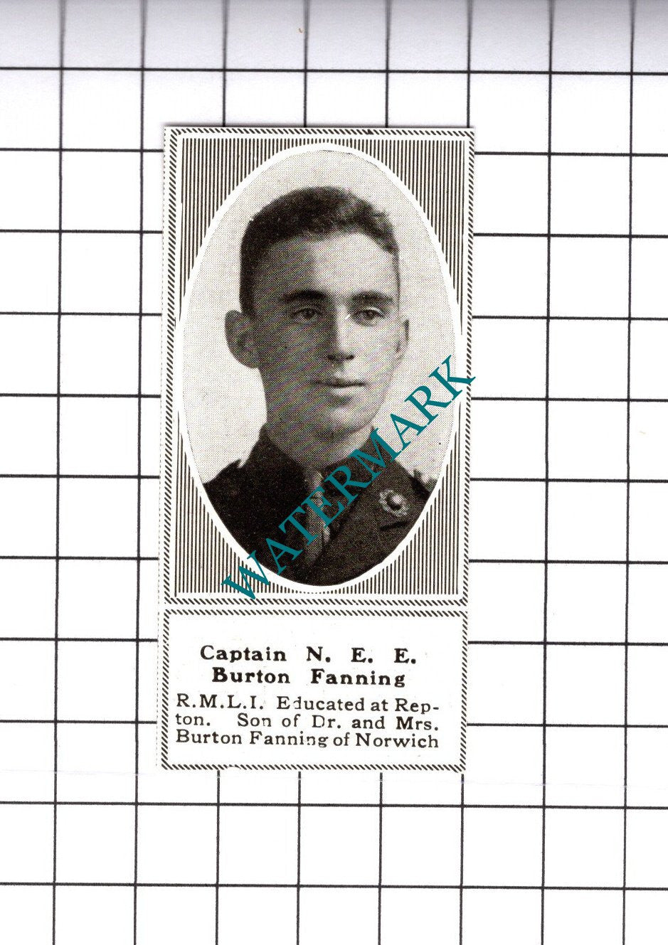Captain N E E Burton Fanning RMLI Norwich Great War WW1 - 1919 SMALL Cutting