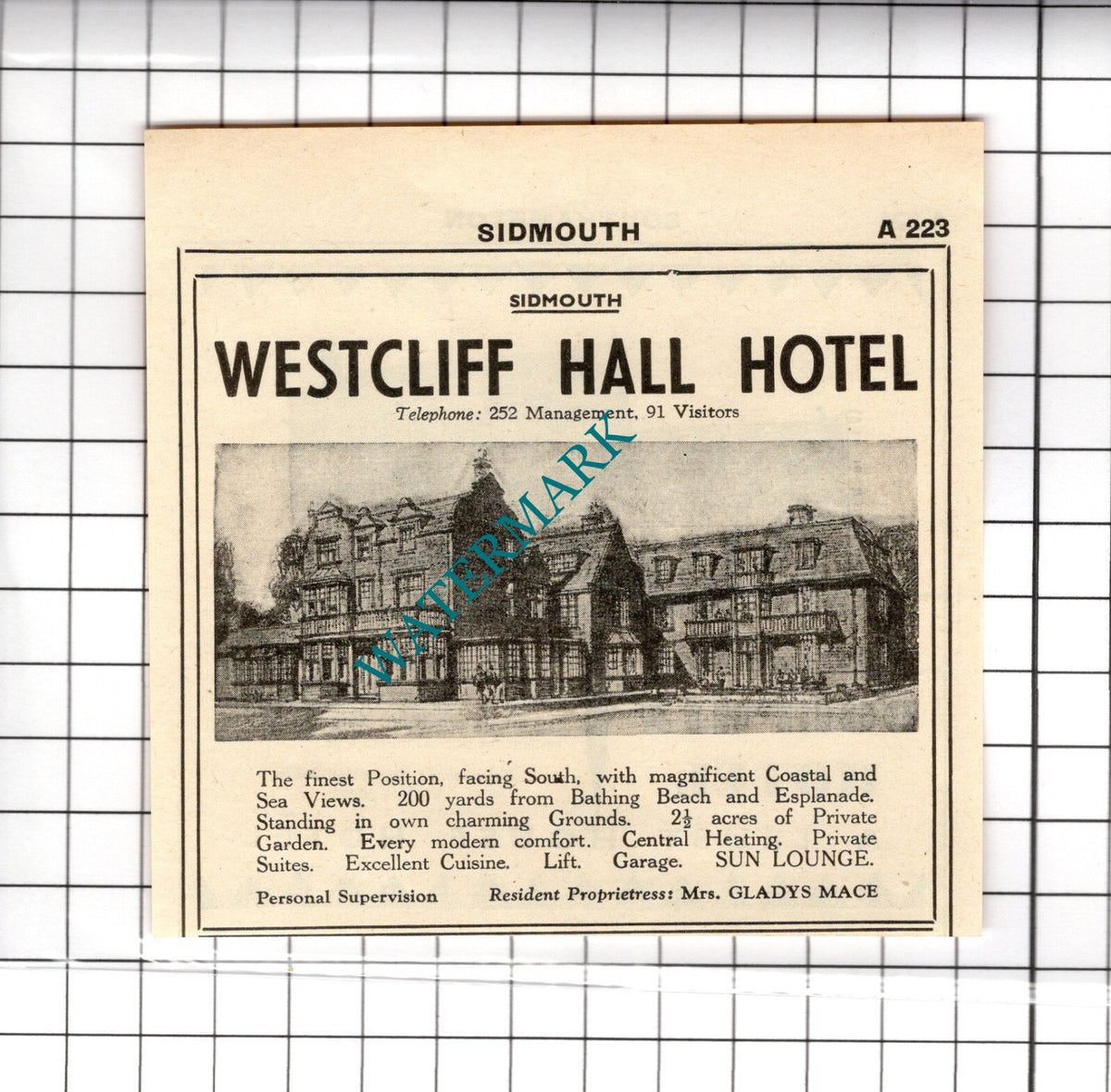 Dolphin Hotel Southampton / Westcliff Hotel Sidmouth Mace Advert - 1958 Cutting