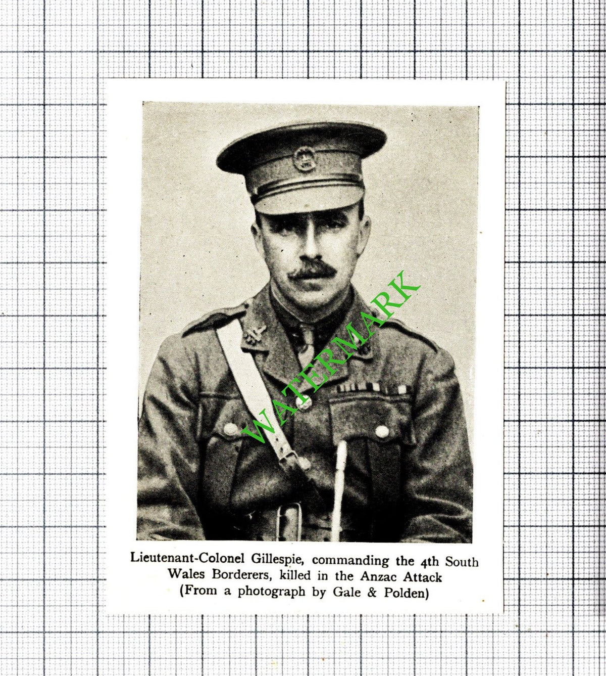 Lt Col Gillespie 4th South Wales Borderers Great War - c.1920 Small Cutting