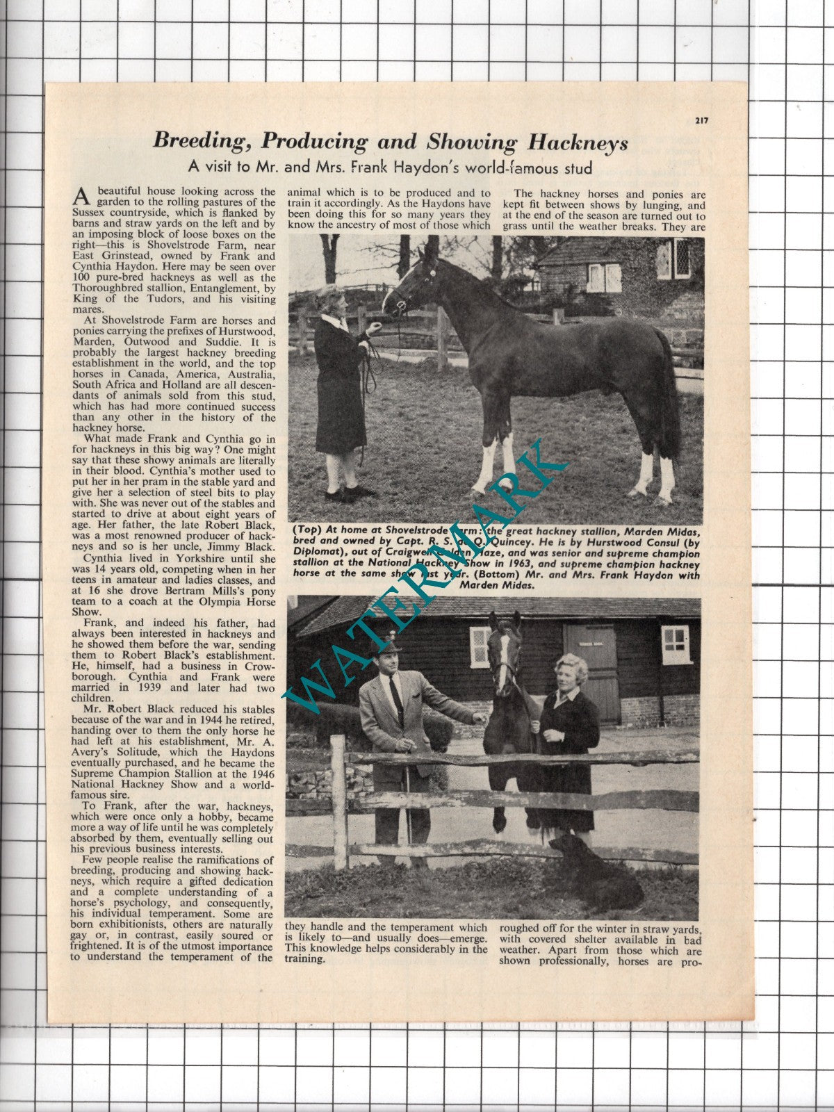 Mr Frank Haydon Shovelstrode Farm East Grinstead Sussex Stud - 1965 Article