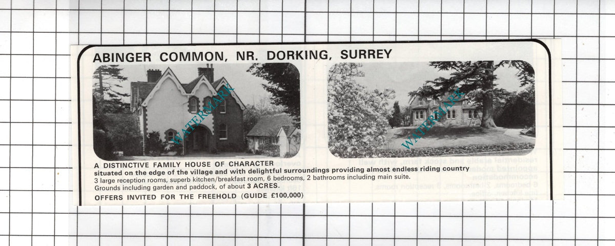 Abinger Common Dorking Surrey House Sale Advert - 1978
