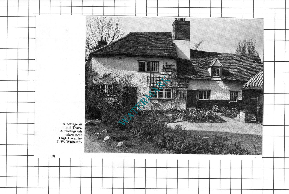 High Laver Essex - c.1967 Clipping / Print