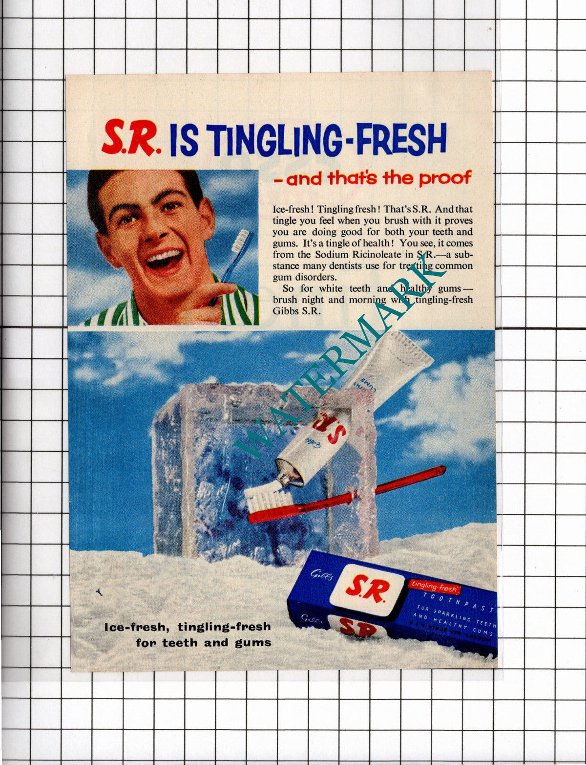 SR Toothpaste Small ADVERT - 1956 Clipping
