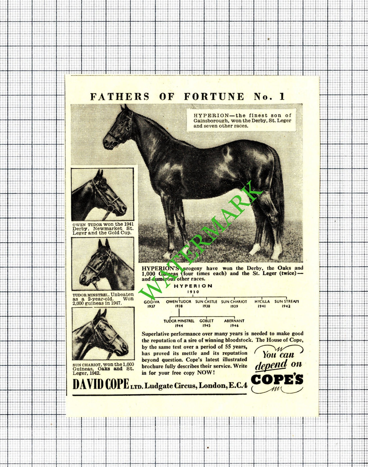 David Cope Ltd Hyperion Horse Small Advert - 1950 Cutting