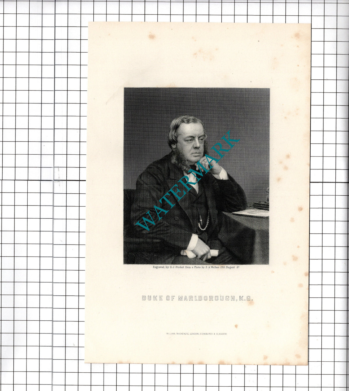 Duke Of Marlborough - c.1881 Print