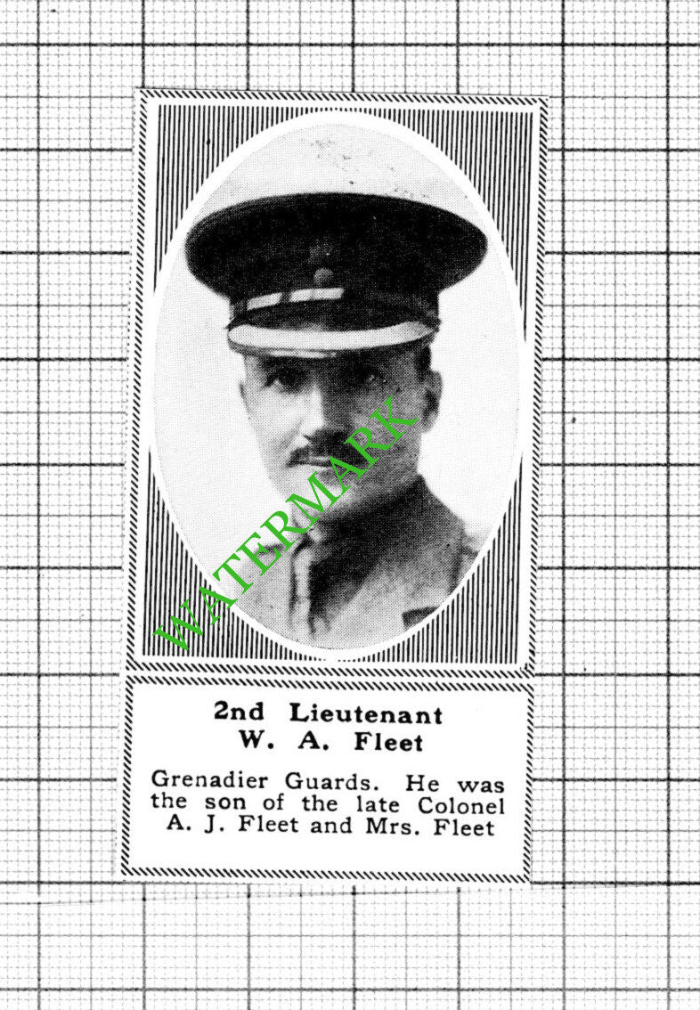 2nd Lt W A Fleet Grenadier Guards Great War WW1 - 1918 Small Cutting
